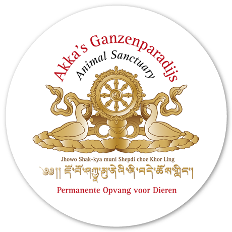 Akka's Ganzenparadijs
