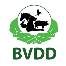 Blijdschap Voor De Dieren