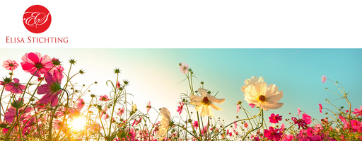 Elisastichting