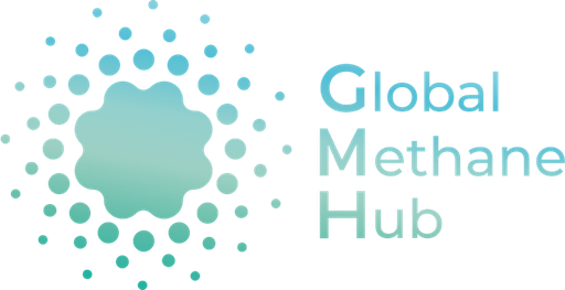 Global Methane Hub Stichting