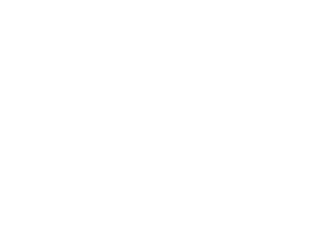 Historische Vereniging In De Gemeente Staphorst