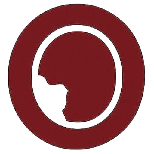 Iop Germany E. V. logo