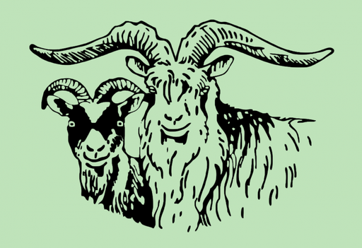 Landelijke Fokkersclub Nederlandse Landgeiten