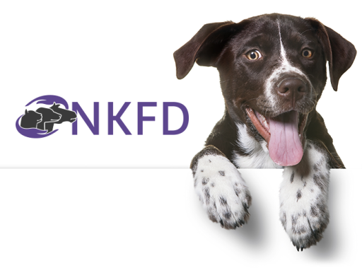 Nederlands Kankerfonds Voor Dieren