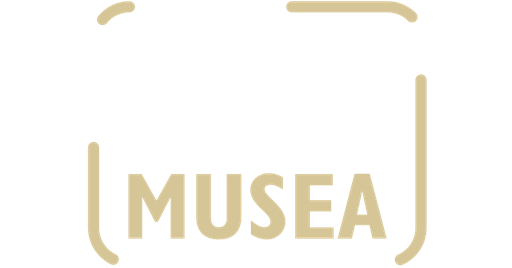 Stichting Amelander Musea