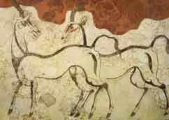 Stichting Antilope Films