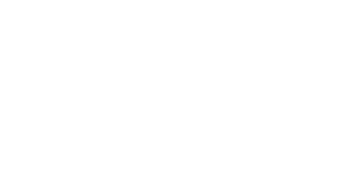 Stichting Art Unorganized