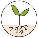 Stichting Assen Bloeit