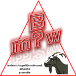 Stichting Bokkenrijders: Mythe Of Werkelijkheid