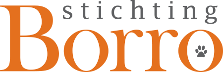Stichting Borro