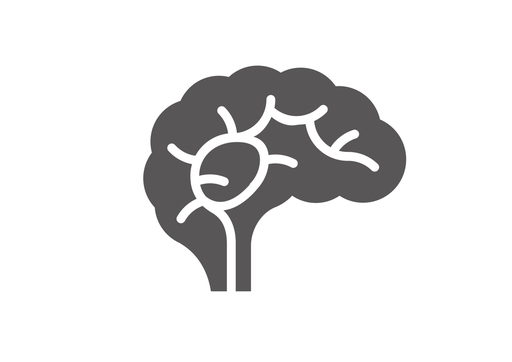 Stichting Brain Technology Institute