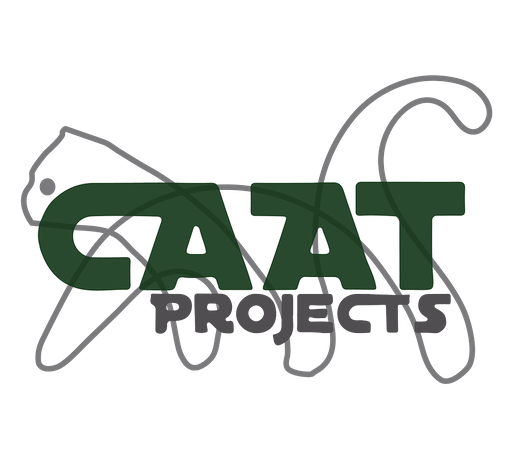 Stichting Caat Projects