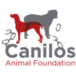 Stichting Canilos Animal Foundation