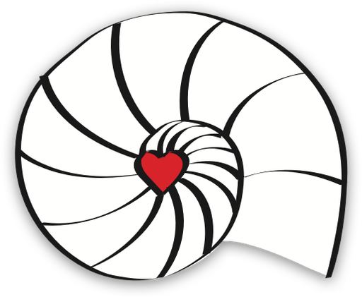 Stichting Csd- Foundation