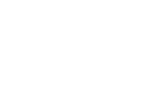 Stichting Dag Van Het Kasteel