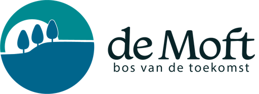 Stichting De Moft