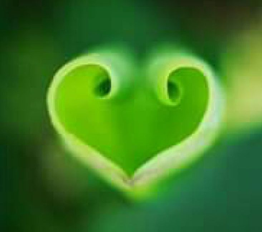 Stichting De Nieuwe School22