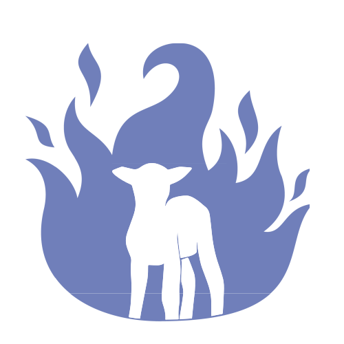 Stichting Deeper Still