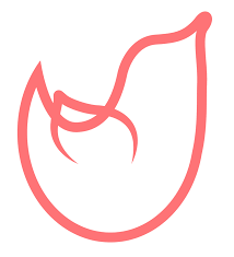 Stichting Denkend Aan Tsjaad