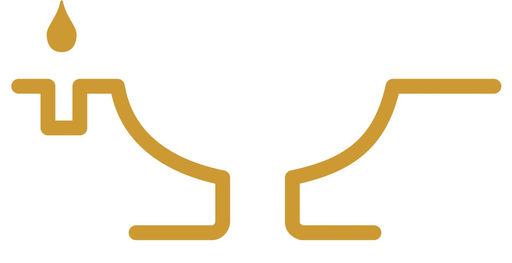 Stichting Dipjoti Nepal