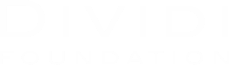 Stichting Dividi
