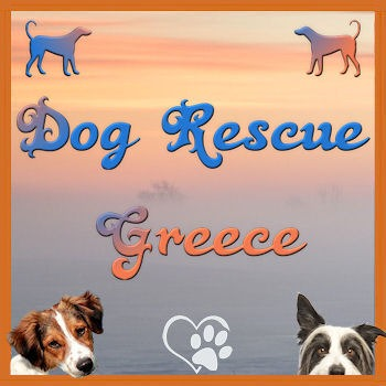 Stichting Dog Rescue Greece