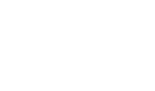 Stichting Dreamteam Borne