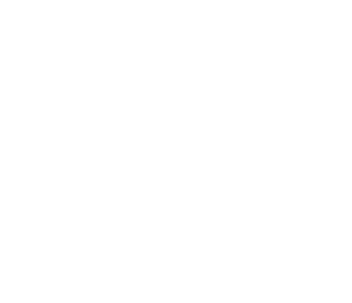 Stichting Driels Museum