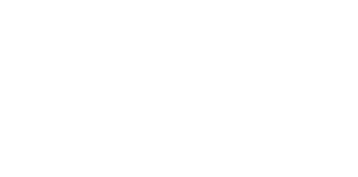 Stichting Dutch Foundation For Ladakhi Nuns Dfln