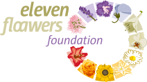 Stichting Eleven Floawers Foundation