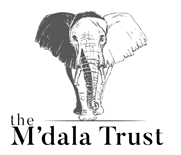 Stichting Engelenburg Charity Fund