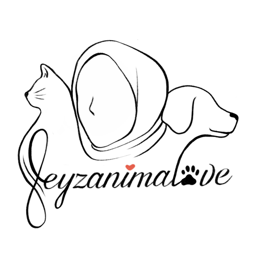 Stichting Feyzanimalove