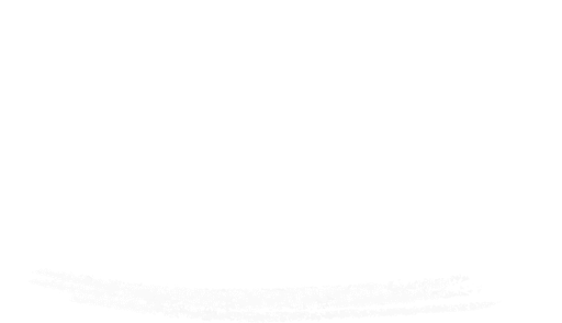 Stichting Financieel- Economische Educatie Nederland