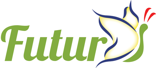 Stichting Futur