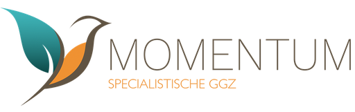Stichting Ggz Momentum