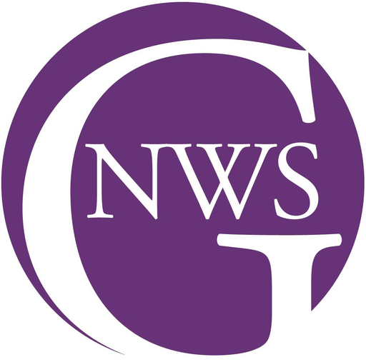 Stichting Global Network Of Women 'SShelters