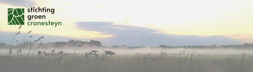 Stichting Groen Cronesteyn