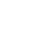 Stichting Grote Broer