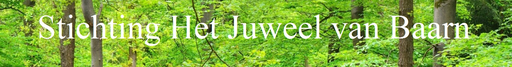 Stichting Het Juweel Van Baarn