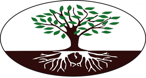 Stichting Het Licht In Dynamisch Afrika (Lina) Project