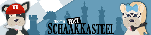 Stichting Het Schaakkasteel