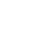 Stichting Hogewoning Foundation