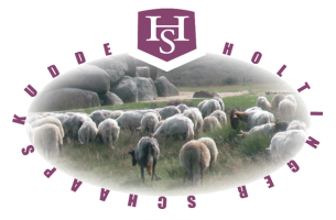 Stichting Holtinger Schaapskudde