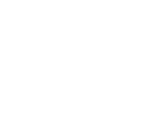 Stichting Hurmes Dierenthoes