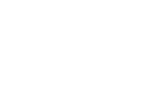 Stichting Illustere Figuren