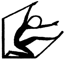 Stichting Jan Jochums Visser