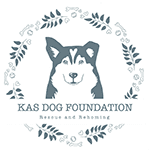 Stichting Kas Dog Foundation