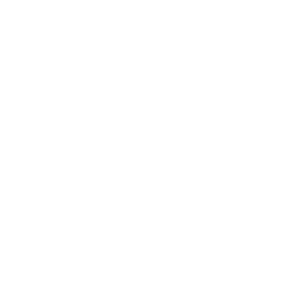 Stichting Kunst= Zinnig