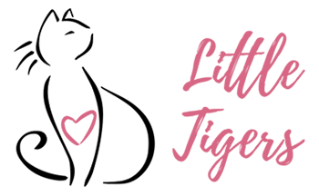 Stichting Little Tigers