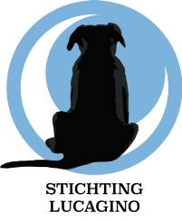 Stichting Lucagino